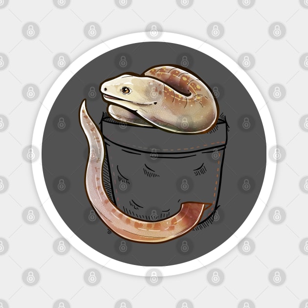 Pocket Cute Legless Lizard Pet Magnet by TechraPockets